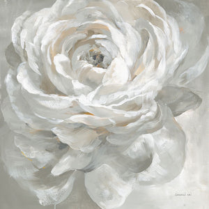 White Rose