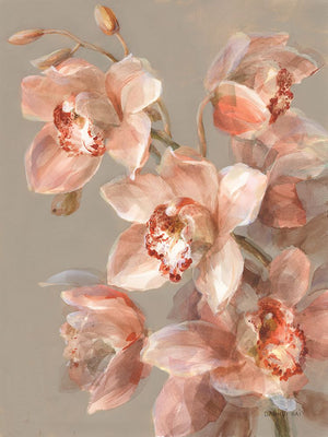 Delicate Orchid II
