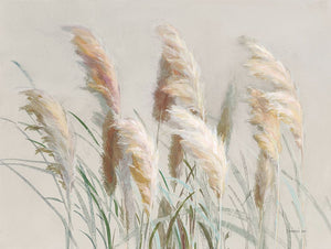 Neutral Pampas Grasses