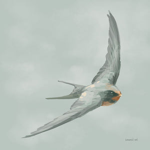 Swifts IV
