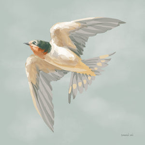 Swifts V
