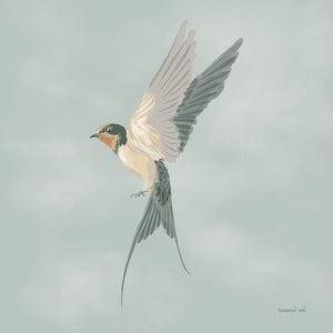 Swifts VI
