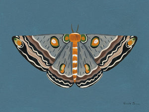 Moth I