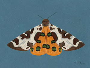 Moth II
