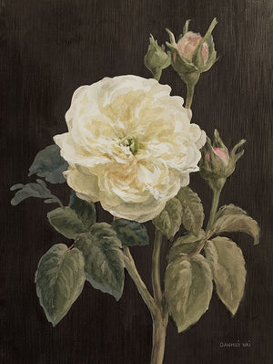 Heirloom White Rose on Black