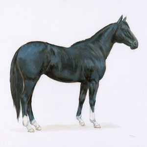 Black Horse