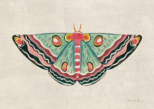 Textured Moth I Bright