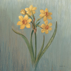 Cottage Daffodil