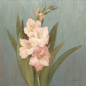 Cottage Gladiola