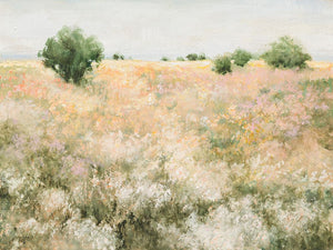 Freedom Field