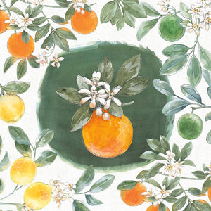 Citrus Wings VIII