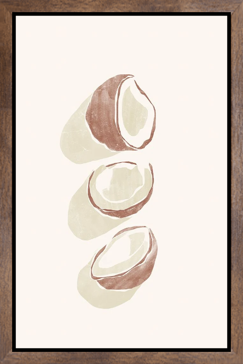 Tropical Coconuts