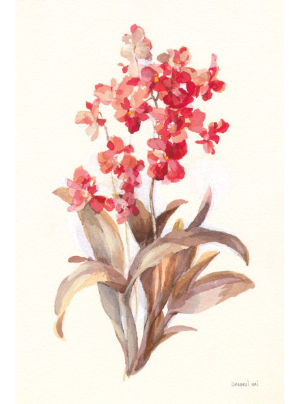 Autumn Orchid I