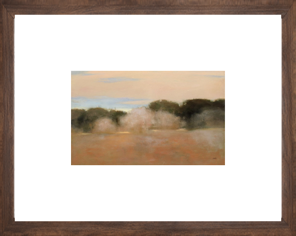Sienna Fields II