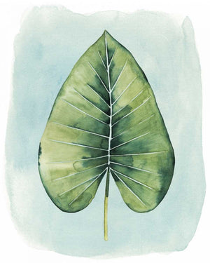 Paradise Palm Leaves III