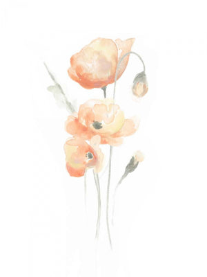 Delicate Bouquet II