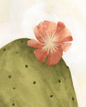 Arid Bloom II