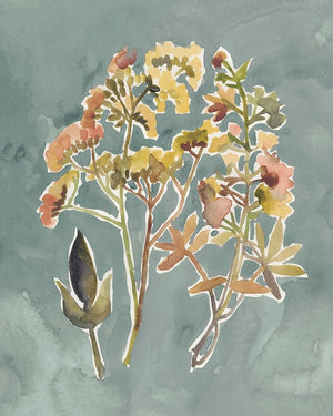 Collected Florals IV