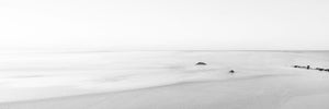 Black and White Water Panel II