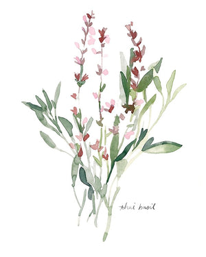 Herb Garden Sketches V