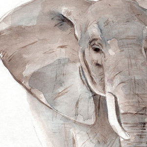 Elephant Grooves II
