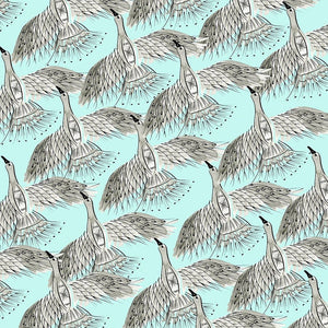 Roam Free Collection F