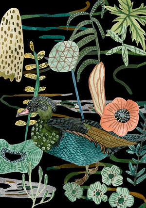 Duck in River Collection B