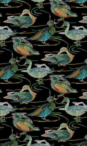 Duck in River Collection E