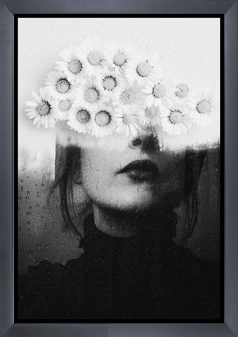 The human world in a frame