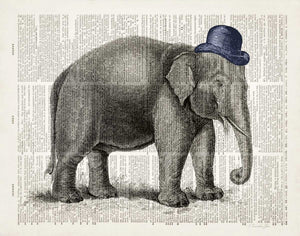 Elephant In A Bowler