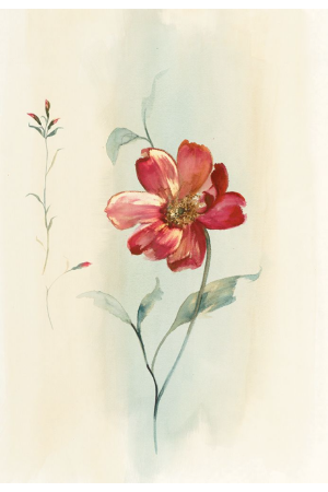 Modern Red Floral