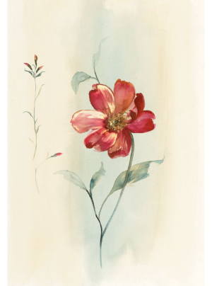 Modern Red Floral
