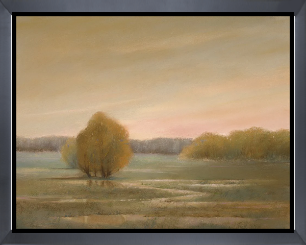 Marshy Fields