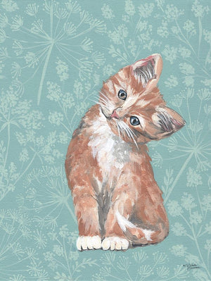 Moxie the Kitten