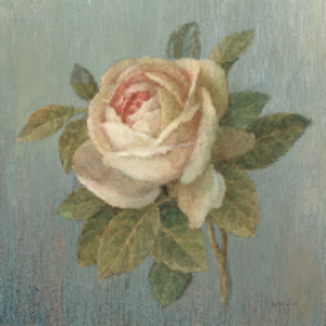 Cottage Rose