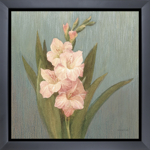 Cottage Gladiola