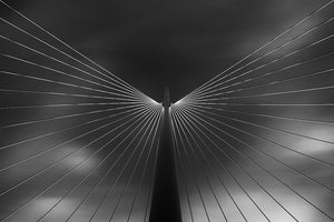 Angel In Black And White