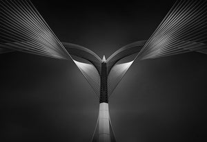 Heart Of Steel