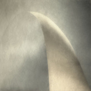 Arco Doro