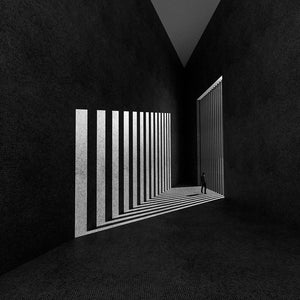 Waiting Freedom