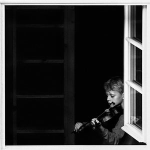 Violinist In The Window