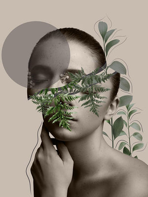 Lili Collection Creative Art Series