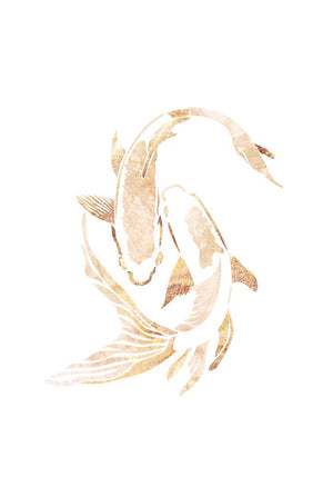 Gold White Japan Koi Fish