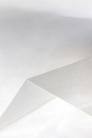 Paper Studies 19
