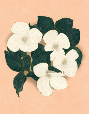 Dogwoods