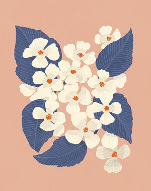 Dogwoods 1