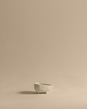 Zeno Small