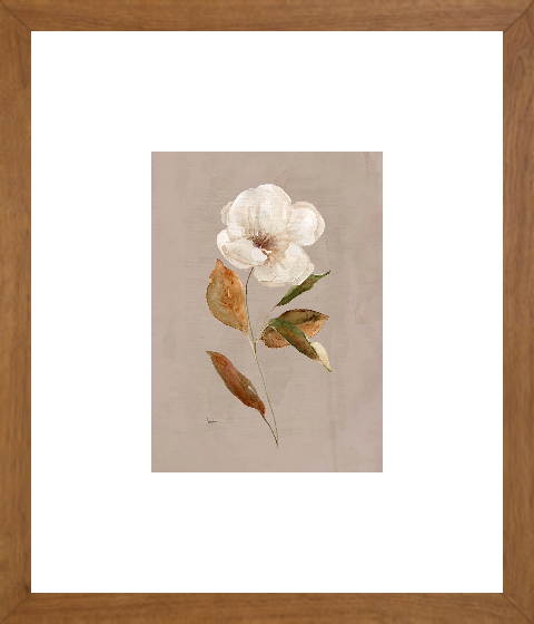 Aged Botanical I