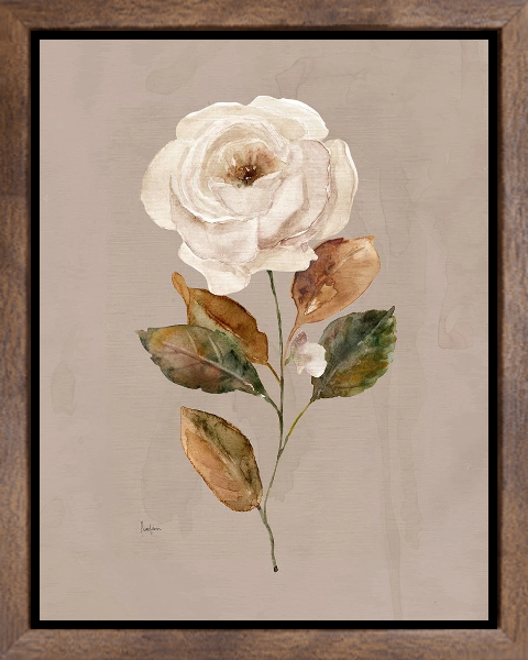 Aged Botanical II