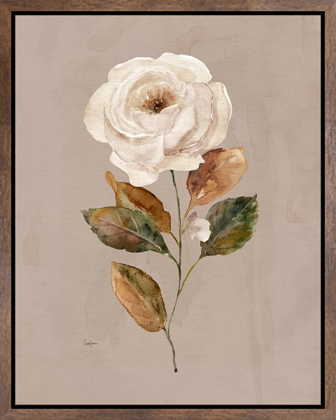 Aged Botanical II